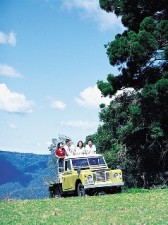 English students riding in farm utility