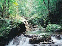 hintrland mountain stream