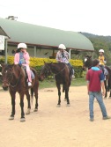 Activity3horseriding Horse Riding VIP student