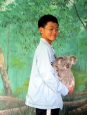koala activity126x167 VIP student meets Koala
