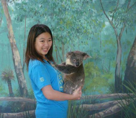 Activities- holding Koala