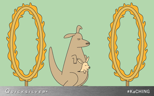Kangaroo jumping through hoops